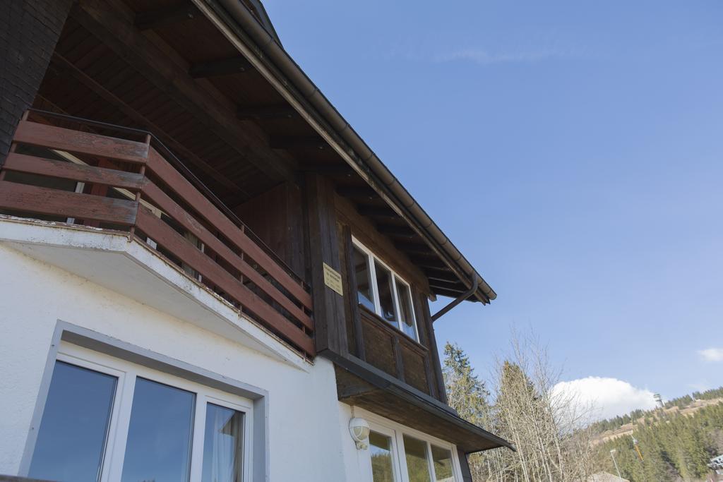 Kuckucksnester Feldberg Feldberg  Kültér fotó